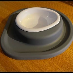 Pet food/ water dish